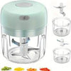 100/250ml USB Rechargeable Electric Garlic Chopper - Powerful And Durable Food Processor