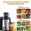 OCTAVO Juicer, Chop Whole Fruits, Large Filling Shaft, Slow Juicer, Drip Stop For Clean Work, Easy Cleaning, 300W, Juicer Vegetables And Fruits